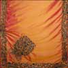 Golden Orange Zardosi work saree - Click here to View more details about this Product